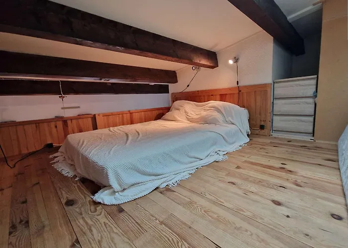 Mezzanine A Plage, Acces Direct Plage, Parking, Petit Budget - Fr-1-387-219 *