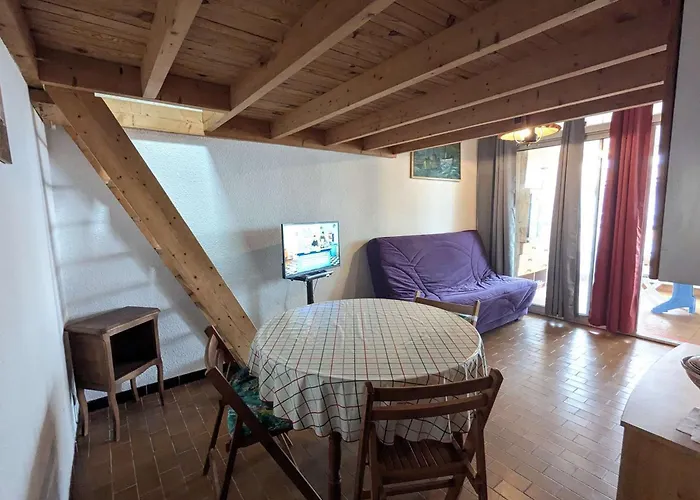 Mezzanine A Plage, Acces Direct Plage, Parking, Petit Budget - Fr-1-387-219 Apartment *